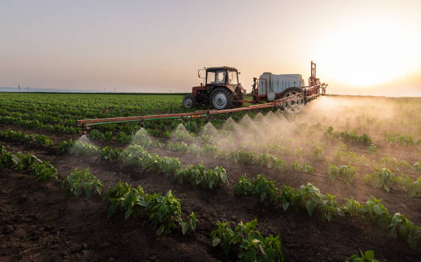 Best Ant Control Services  in Palestine, TX