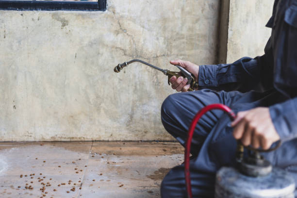 Best Pest Prevention Services  in Palestine, TX